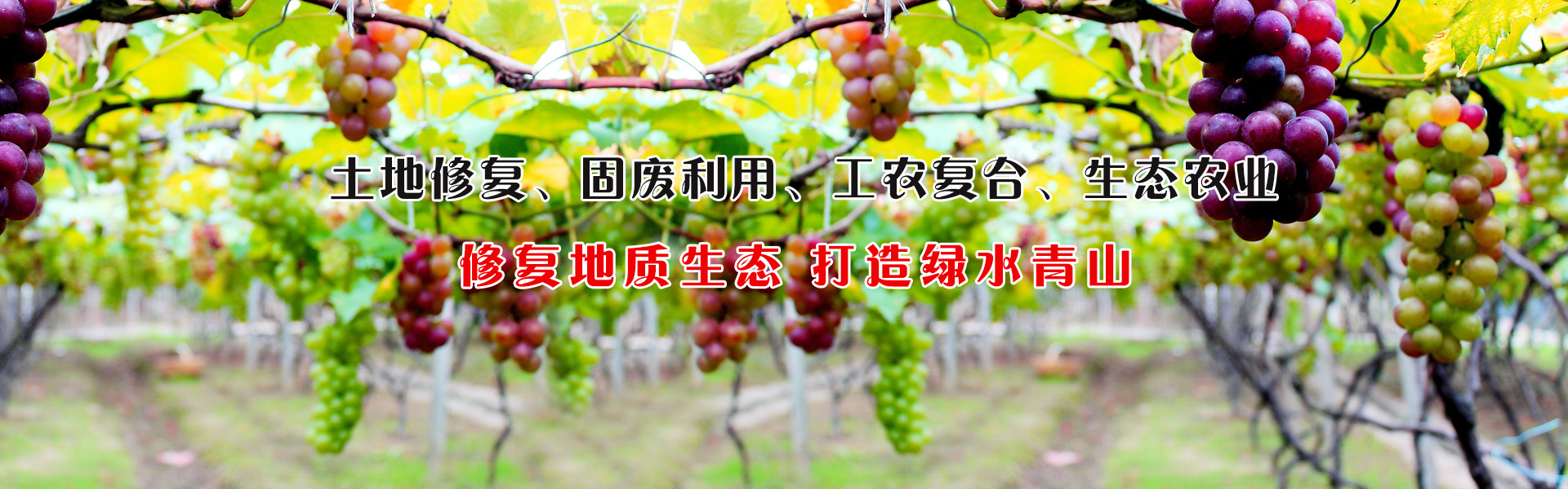 山東路易達(dá)新材料有限公司